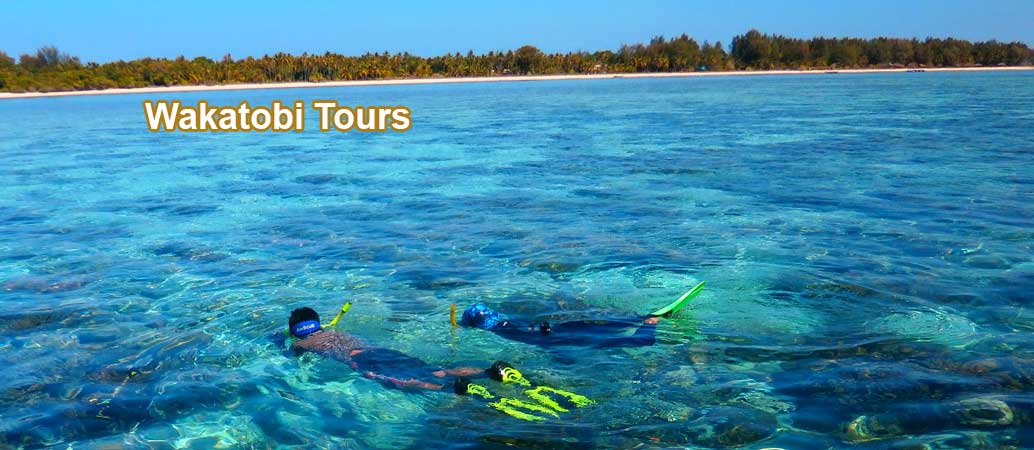 4D/3N Favourite Wakatobi With Snorkeling In Waha Beach & Hoga Island ...